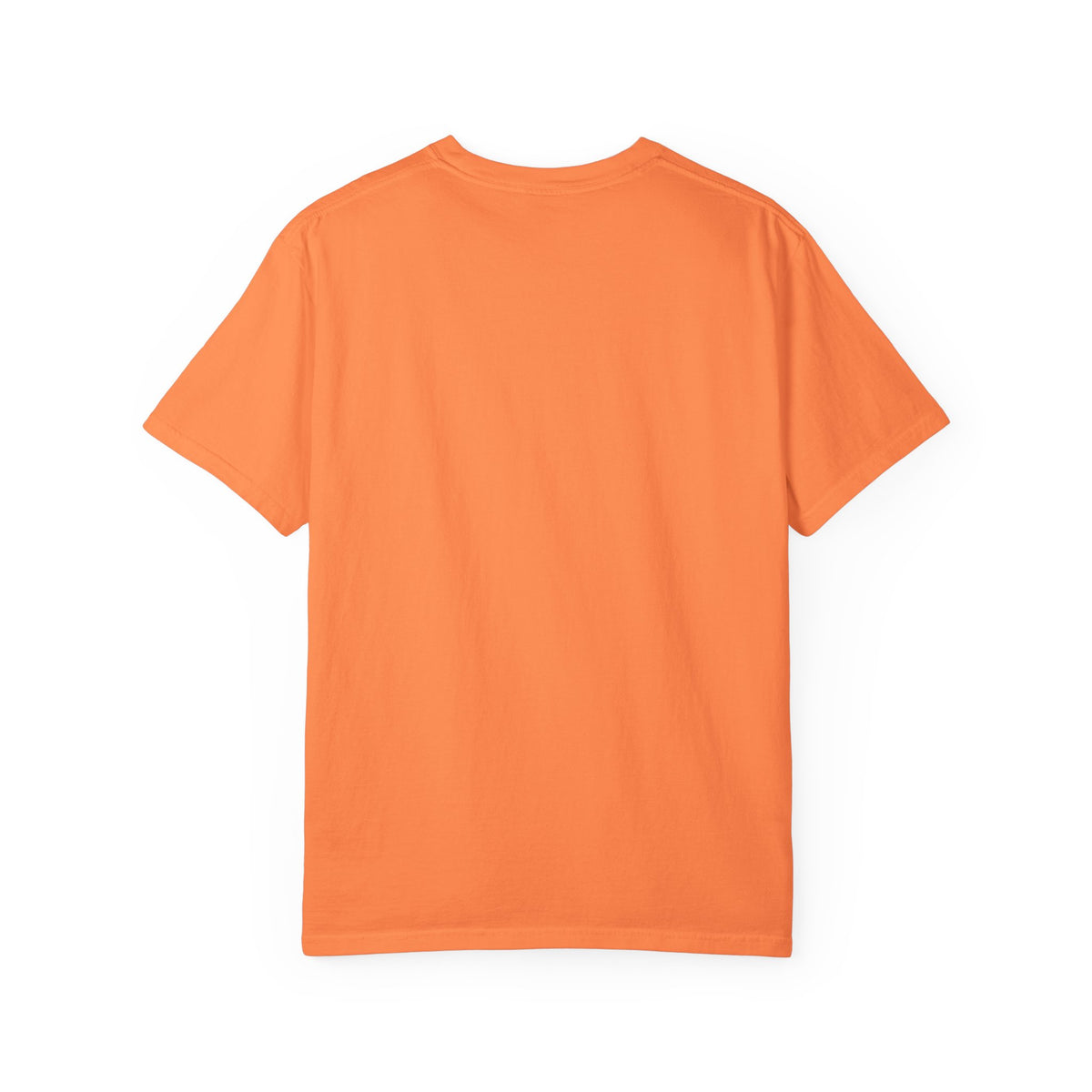 The AAPI Ampersand Tee (High Quality Comfort Colors)