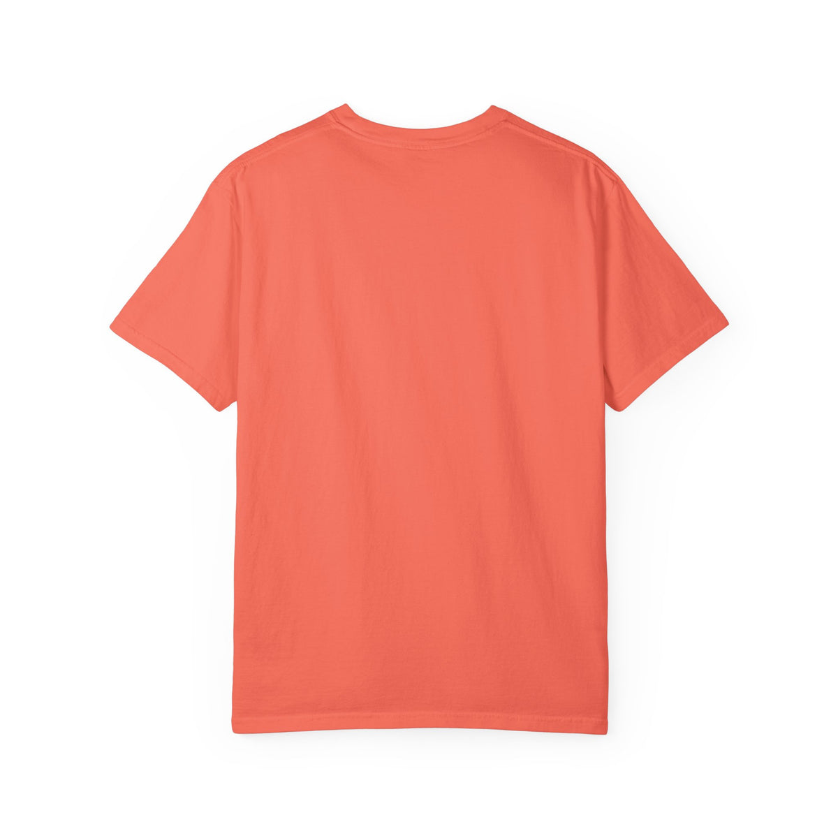 The AAPI Ampersand Tee (High Quality Comfort Colors)